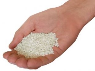 Rice