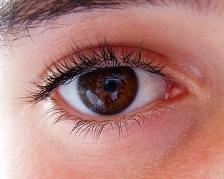 Eye