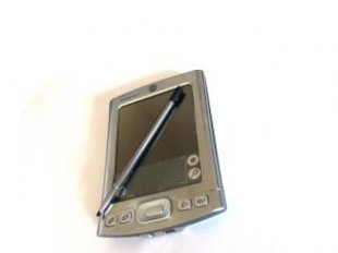 Palm Pilot