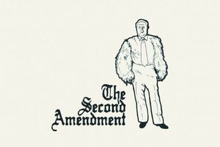 Second Ammendment