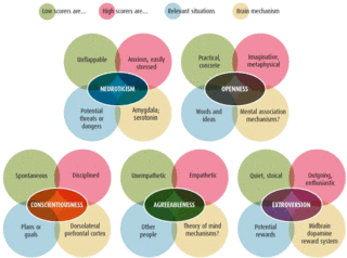 Big Five Personality