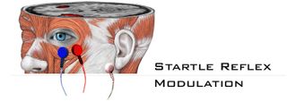 Startle Reflex